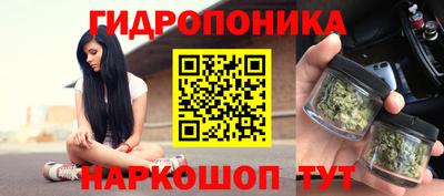 прущая мука Кингисепп